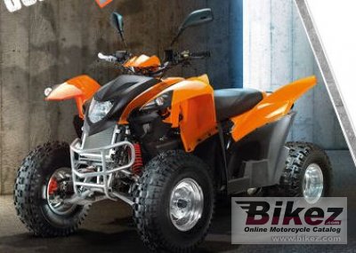 2010 Fokamo ATV 320 Bullet photo